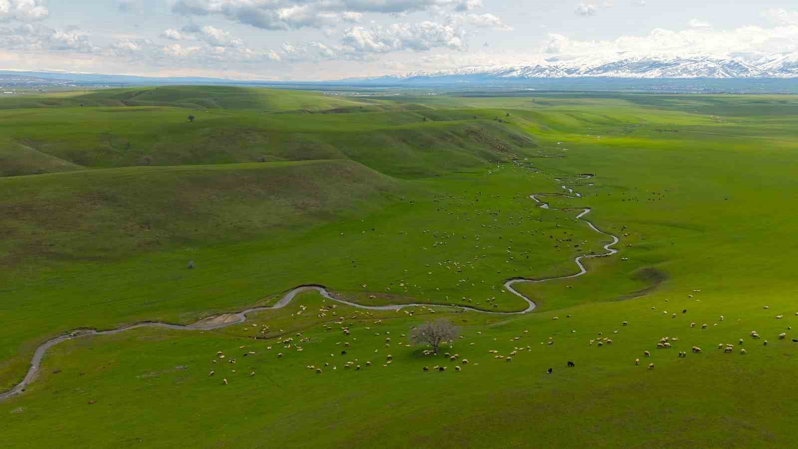 Genç besicilere büyük destek
Genç besicilere büyük destek