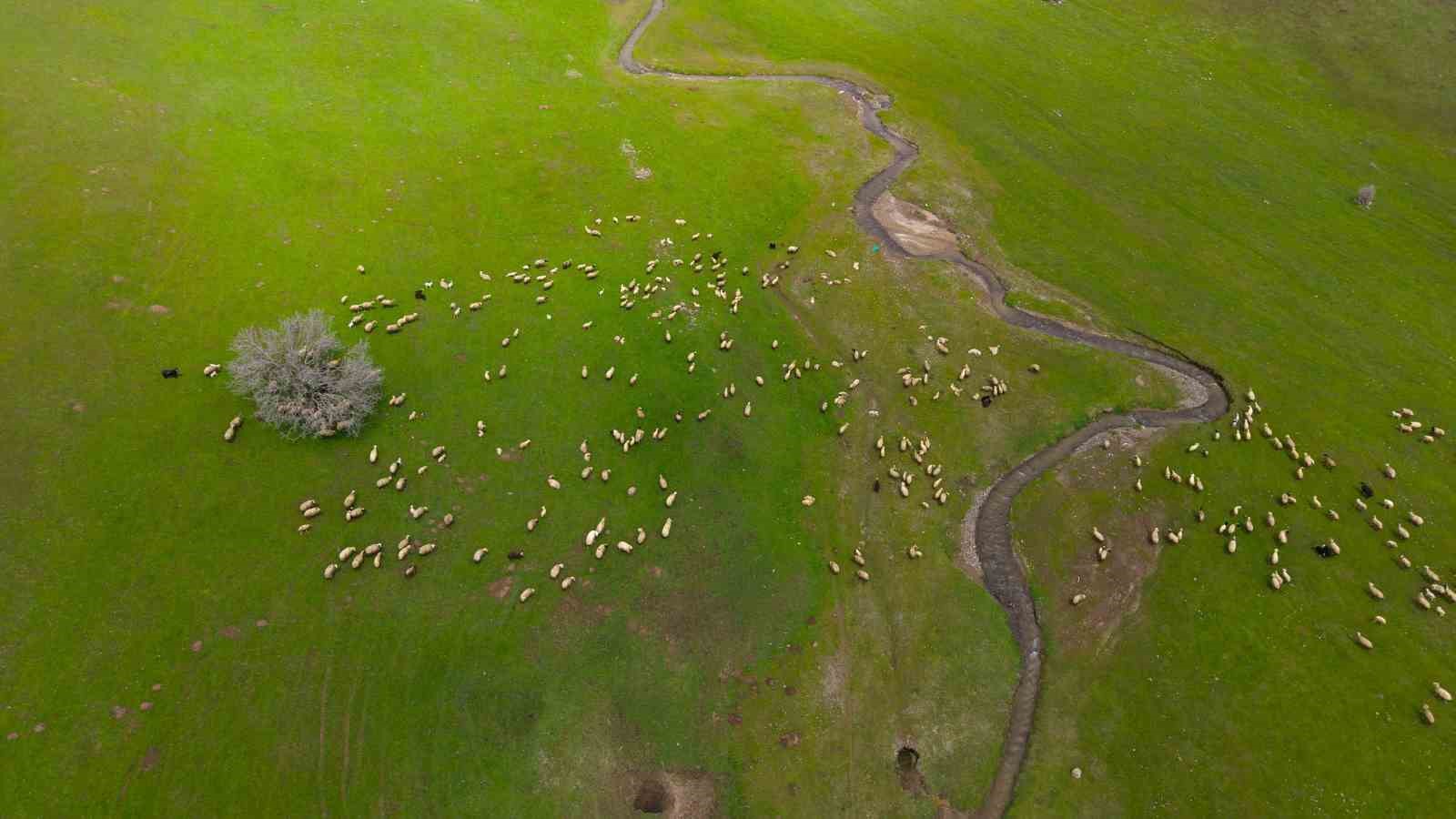 Genç besicilere büyük destek
Genç besicilere büyük destek