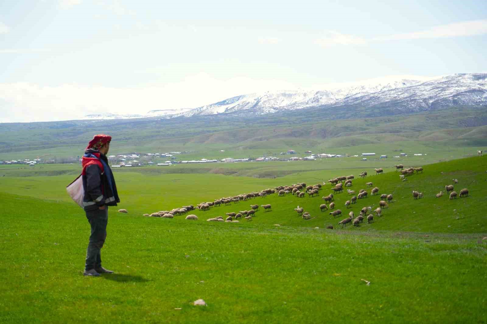 Genç besicilere büyük destek
Genç besicilere büyük destek