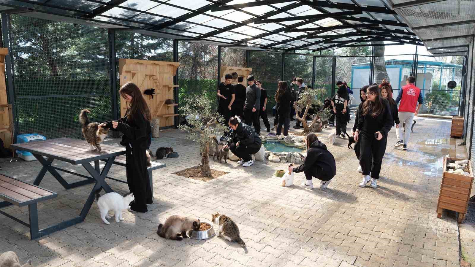 Gençerlerden patili canlara ziyaret
