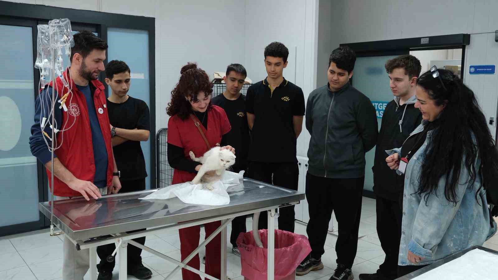 Gençerlerden patili canlara ziyaret
