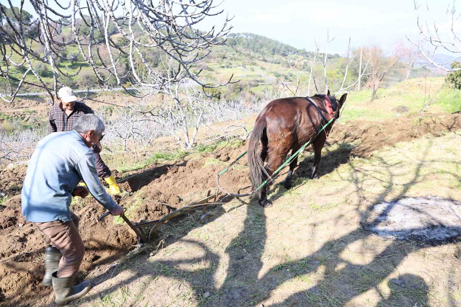Gençler köyü terk edince iş yaşlılara kaldı
