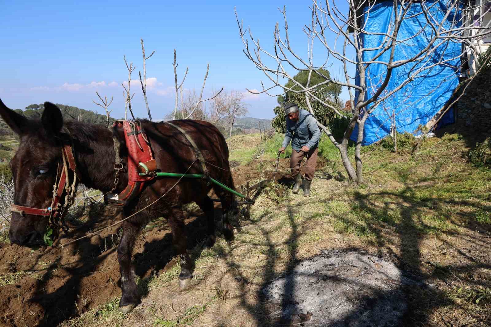 Gençler köyü terk edince iş yaşlılara kaldı
