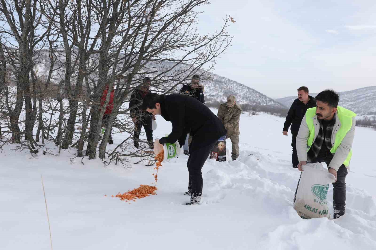 Genç’te yaban hayvanları için doğaya yem bırakıldı
