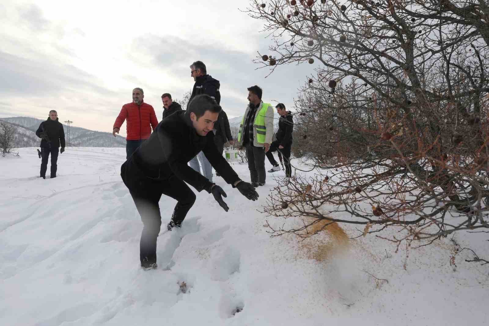 Genç’te yaban hayvanları için doğaya yem bırakıldı
