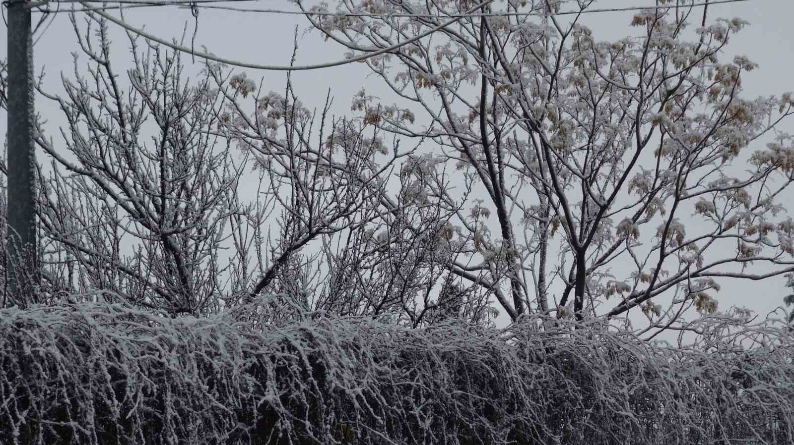 Gercüş beyaz örtüyle kaplandı
