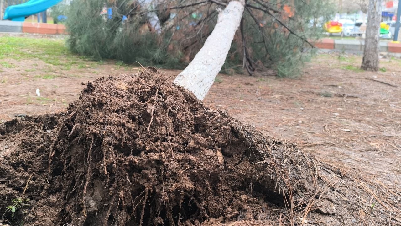 Gercüş’te şiddetli yağış ve fırtına
