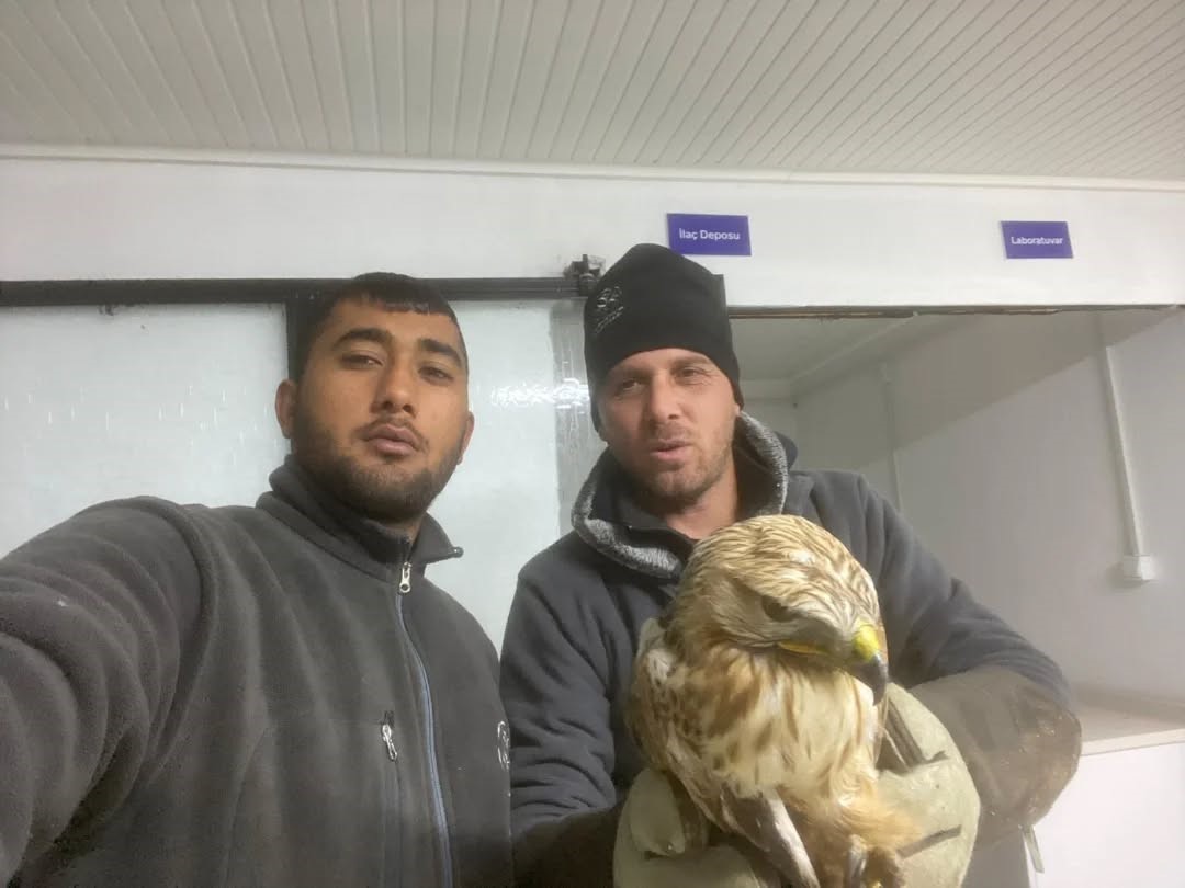 Germencik’te belediyenin ihbar hattı yaban hayvanlarına da umut oluyor
Germencik’te belediyenin ihbar hattı yaban hayvanlarına da umut oluyor