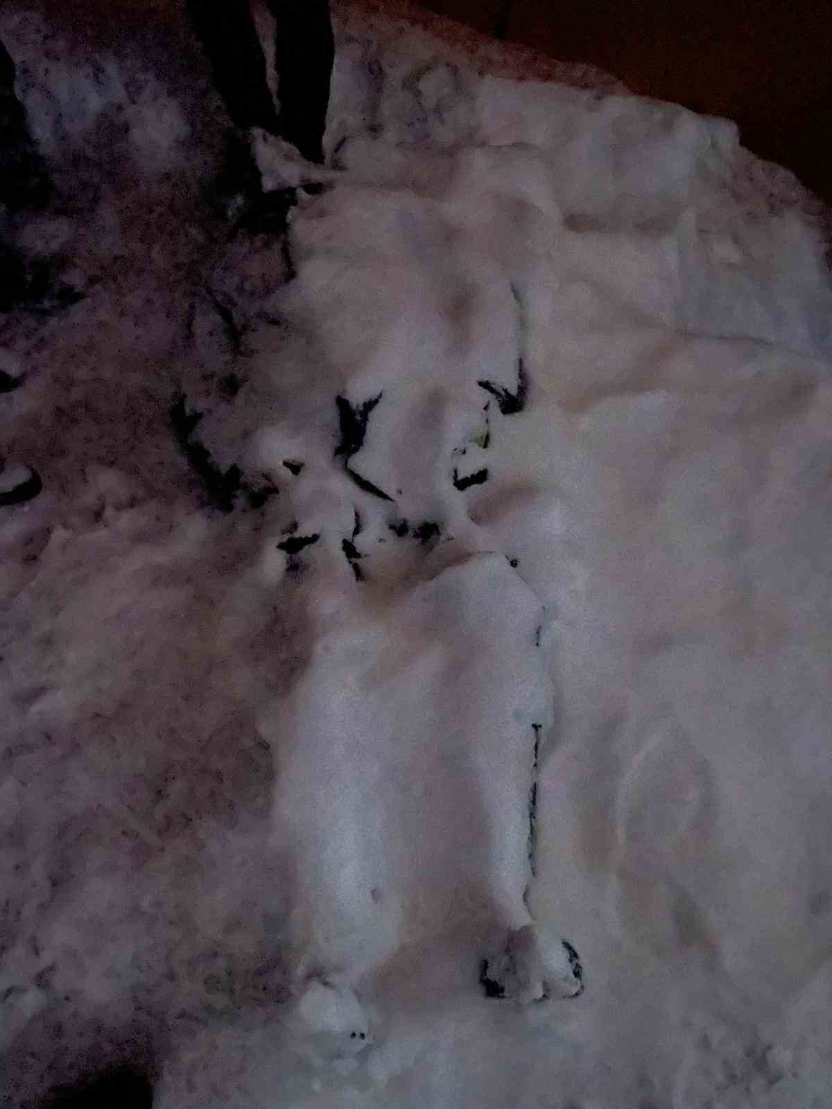 Giresun’da çığ: 1 ölü
