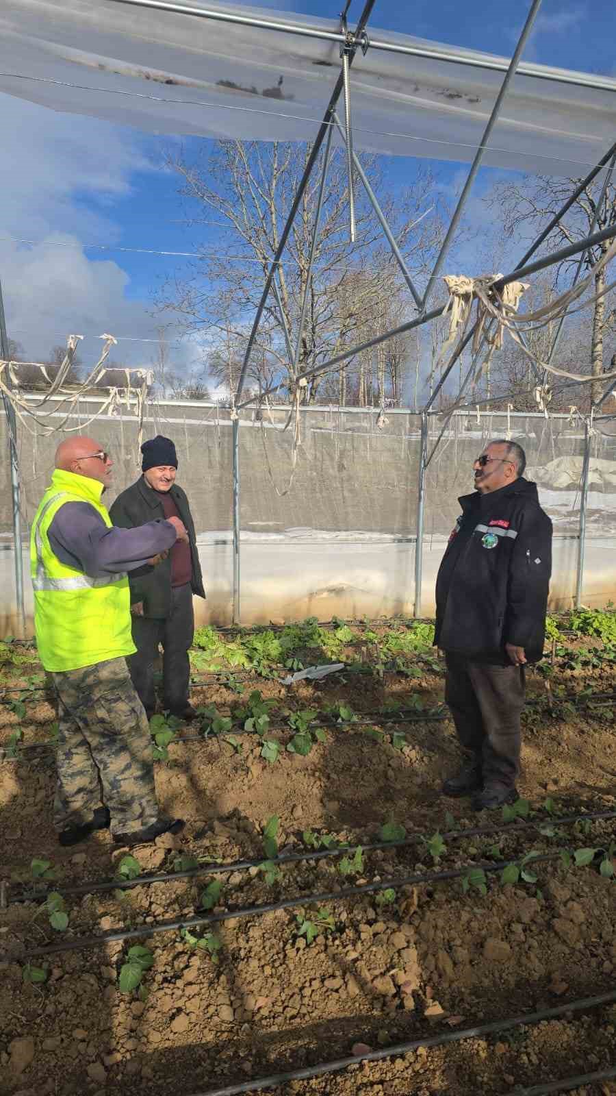 Giresun’da fırtınada bazı seralar ve yayla evleri hasar gördü
