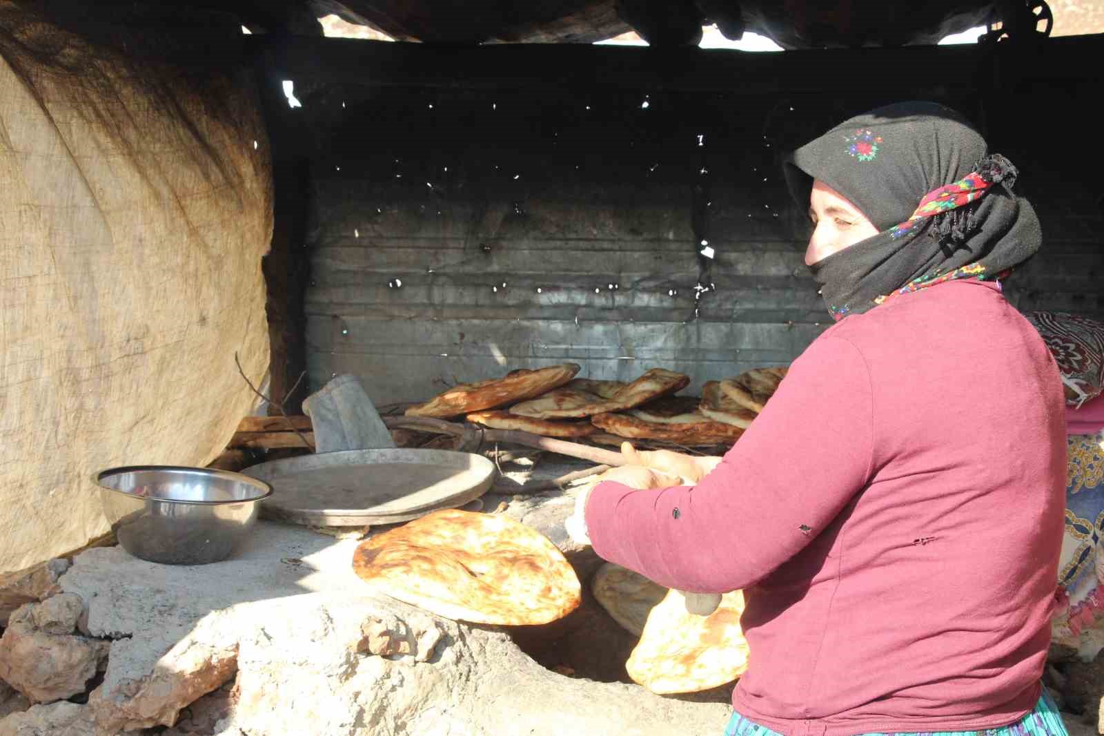 Göç yollarında bir ömür: Gabar Dağı eteklerinde konar göçerlerin sessiz direnişi
