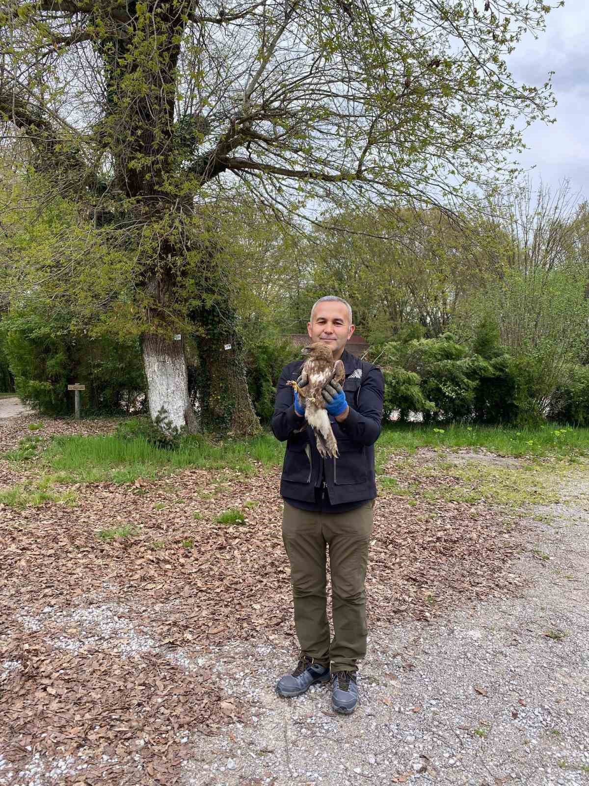 Göç yolunda yorgun düşen hayvanların yardımına köylüler yetişiyor
