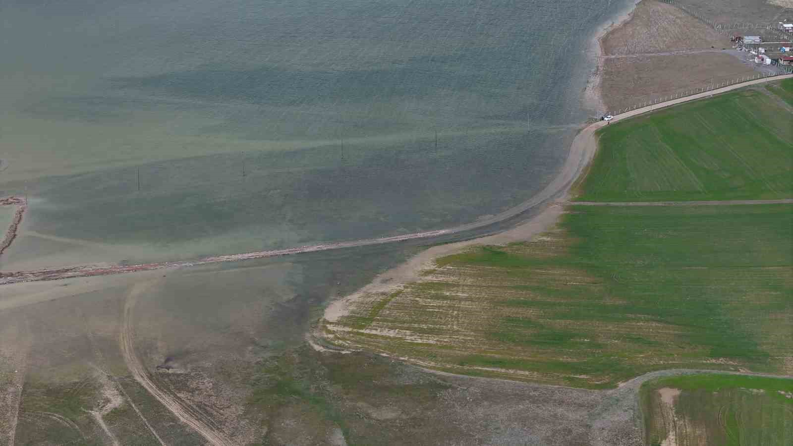 Göçmen kuşların uğrak mekanı, son yağışlarla doldu taştı
