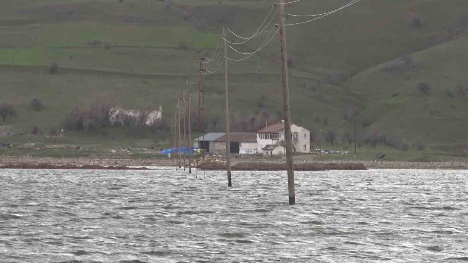 Göçmen kuşların uğrak mekanı, son yağışlarla doldu taştı
