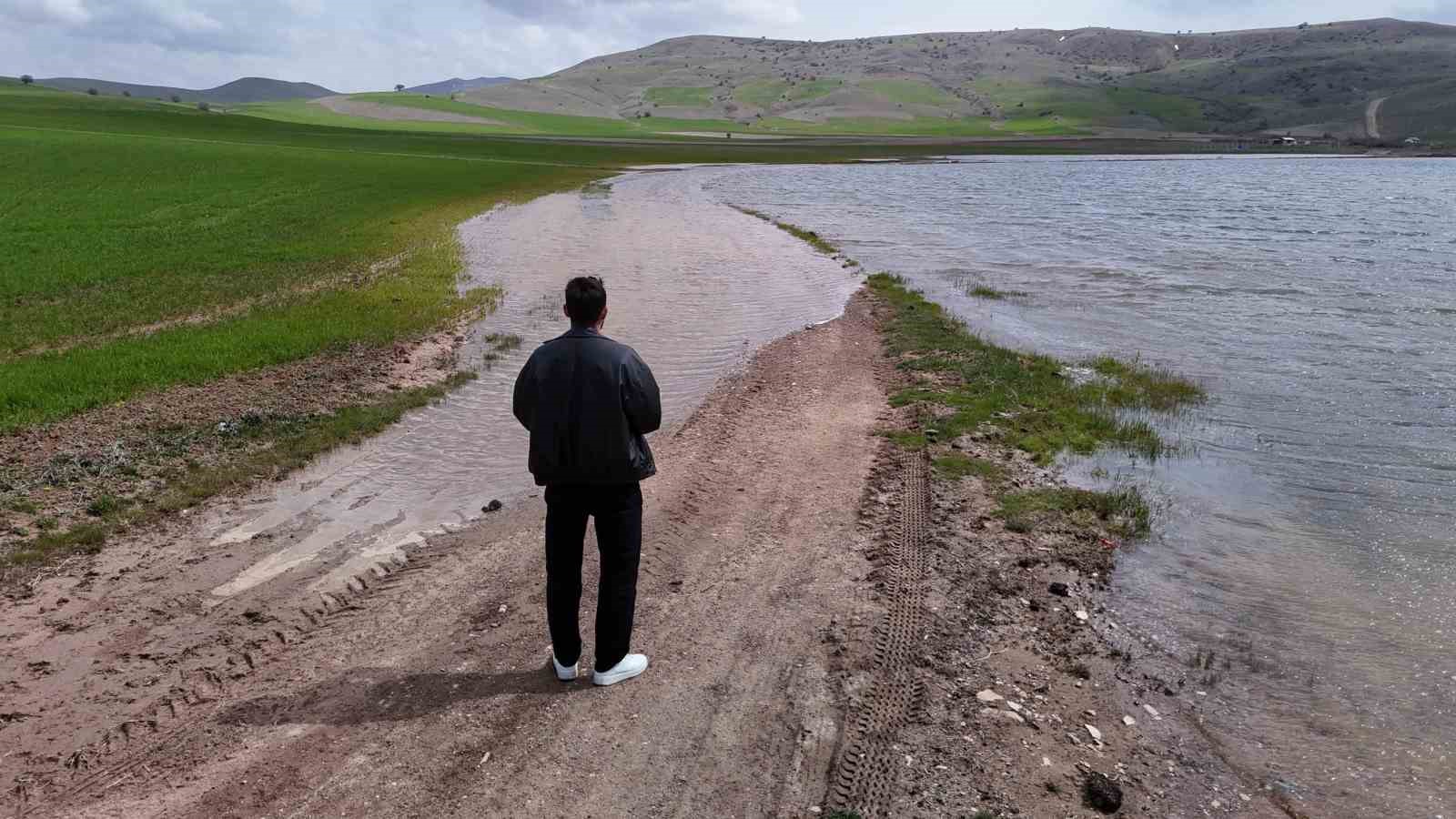 Göçmen kuşların uğrak mekanı, son yağışlarla doldu taştı
