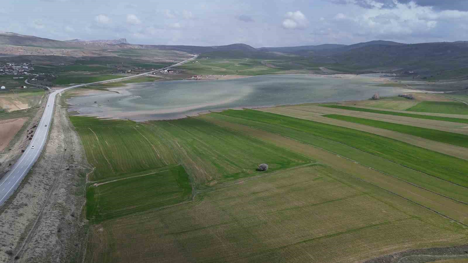 Göçmen kuşların uğrak mekanı, son yağışlarla doldu taştı
