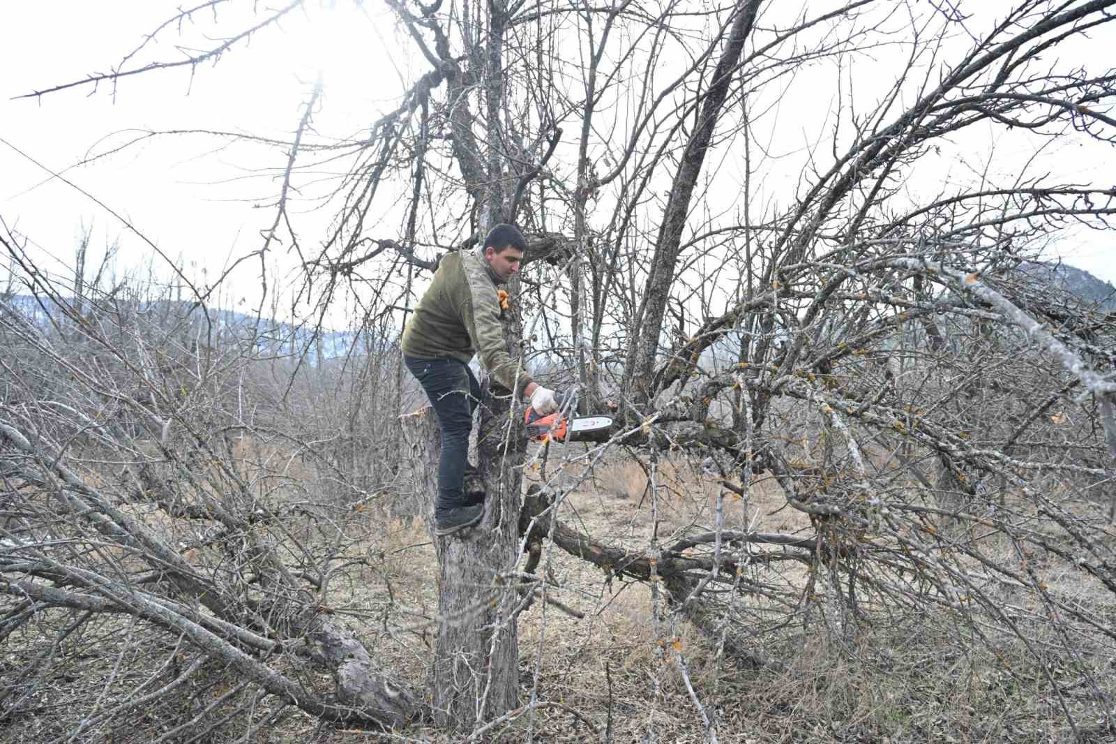 Gölcük Tabiat Parkı’nda elma bahçeleri yeniden üretime kazandırılıyor
Gölcük Tabiat Parkı’nda elma bahçeleri yeniden üretime kazandırılıyor