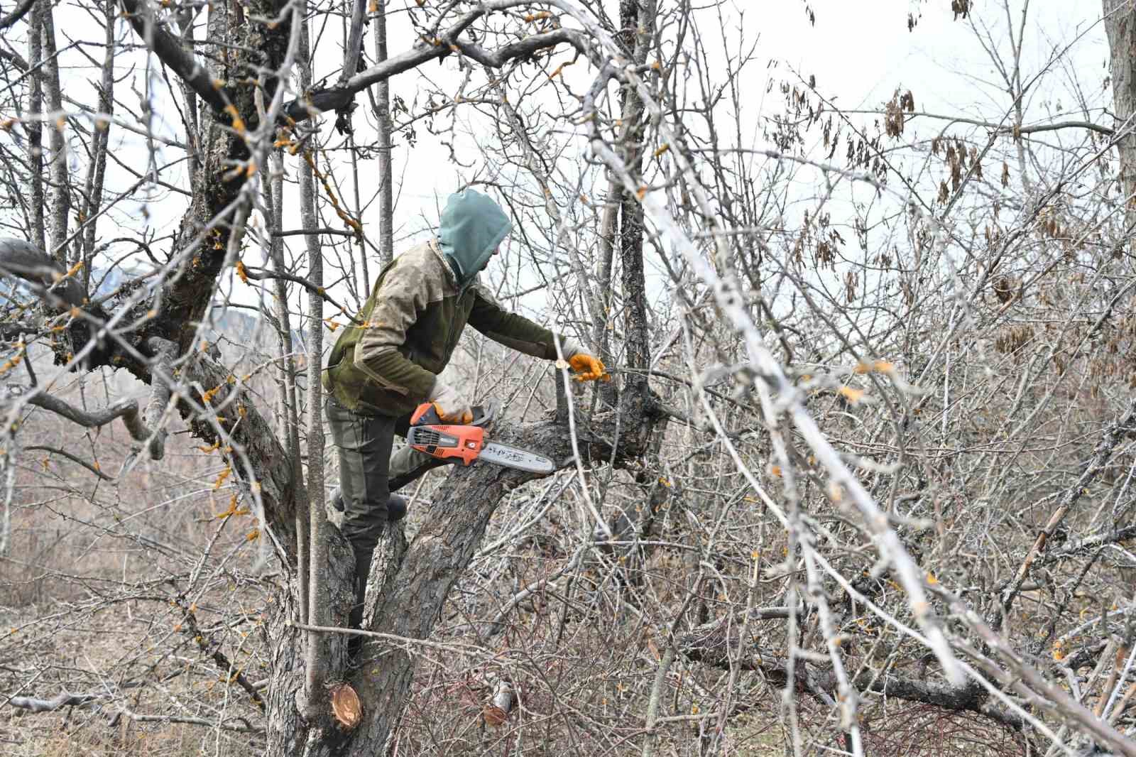 Gölcük Tabiat Parkı’nda elma bahçeleri yeniden üretime kazandırılıyor
Gölcük Tabiat Parkı’nda elma bahçeleri yeniden üretime kazandırılıyor