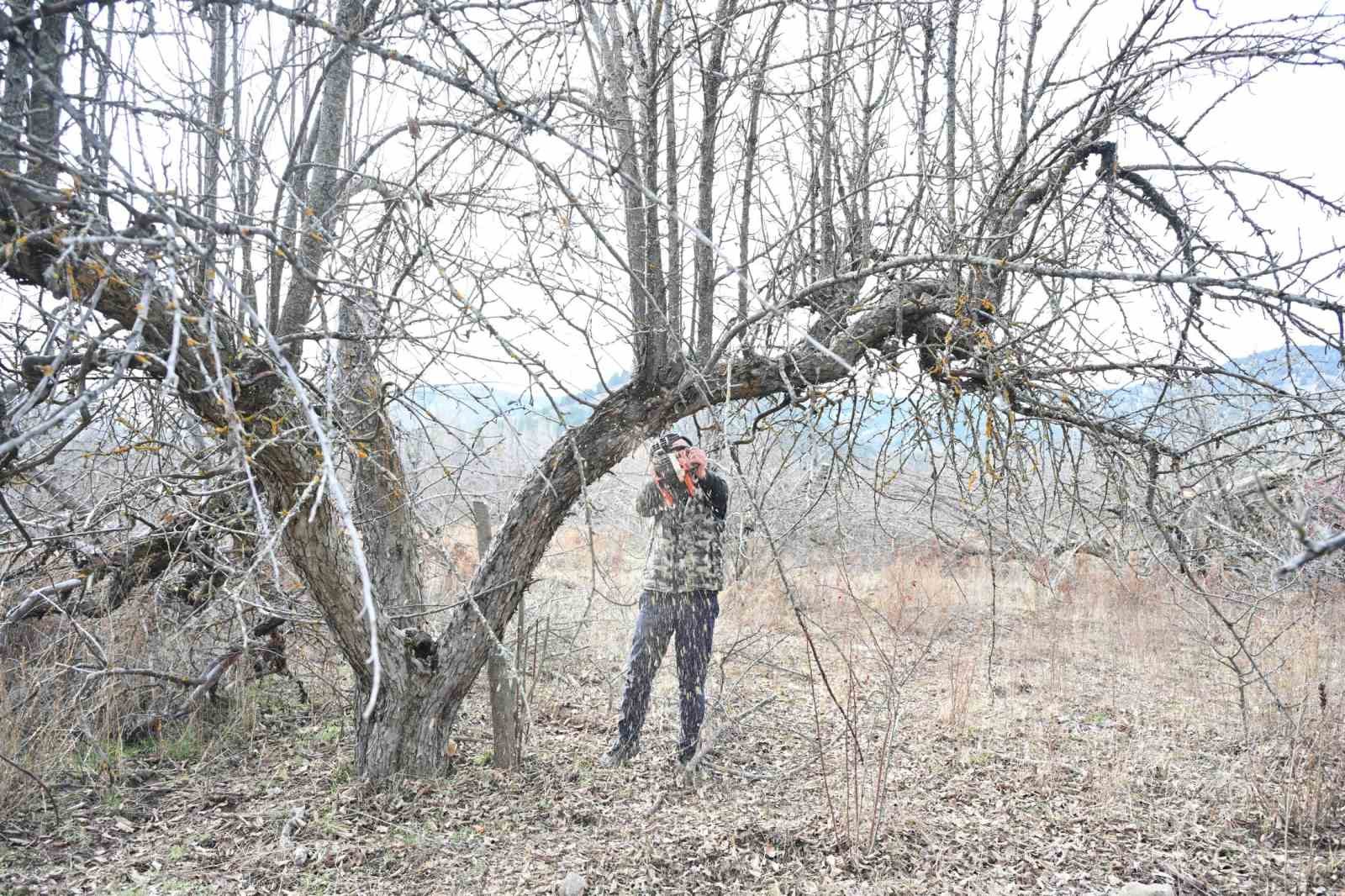 Gölcük Tabiat Parkı’nda elma bahçeleri yeniden üretime kazandırılıyor
Gölcük Tabiat Parkı’nda elma bahçeleri yeniden üretime kazandırılıyor