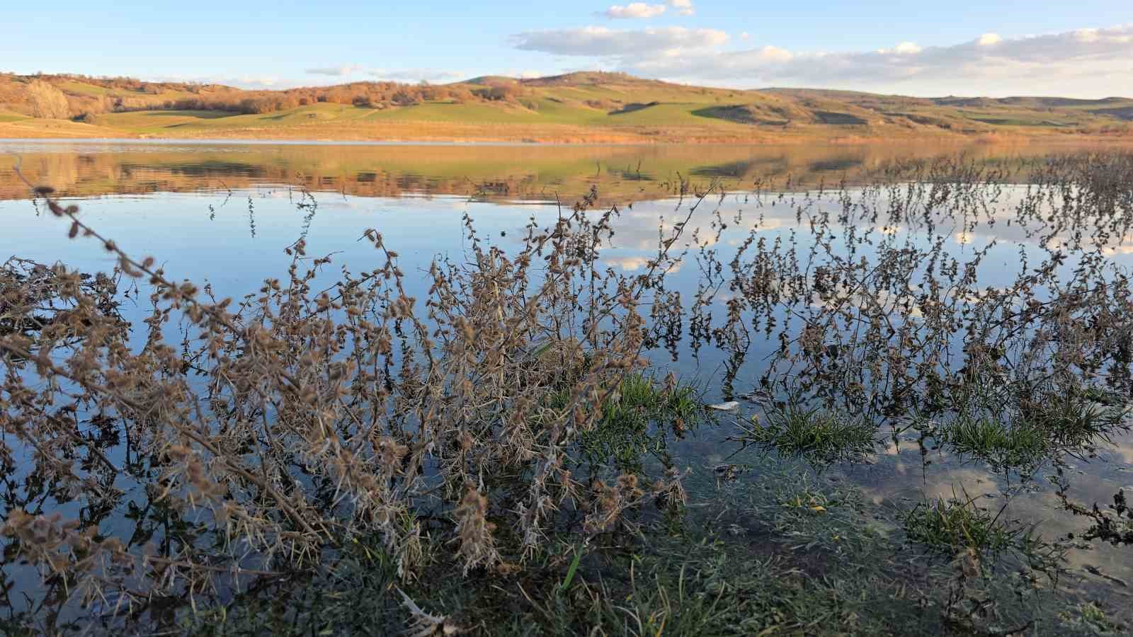 Göletin su seviyesi arttı, üreticilerin yüzü güldü
