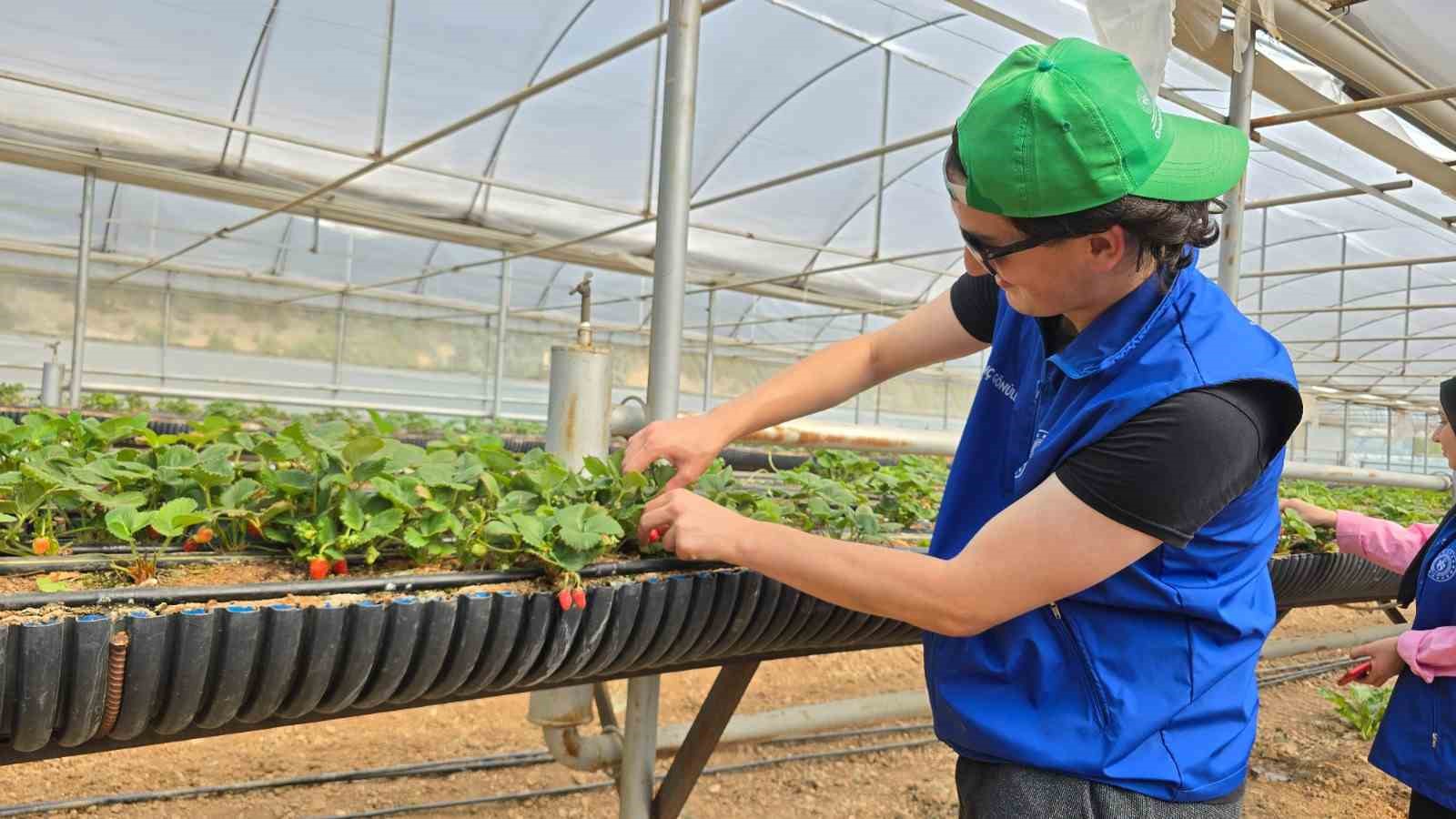 Gönüllü Hasat Etkinliği 2026 yılı takvimi açıklandı
