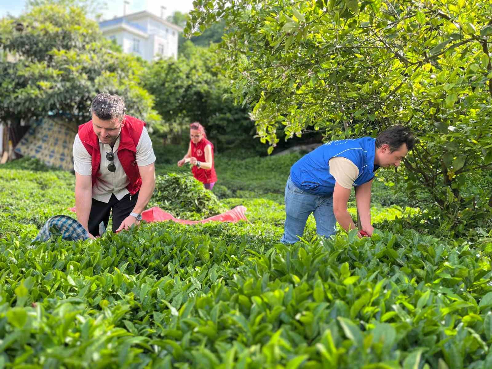 Gönüllü Hasat Etkinliği 2026 yılı takvimi açıklandı
