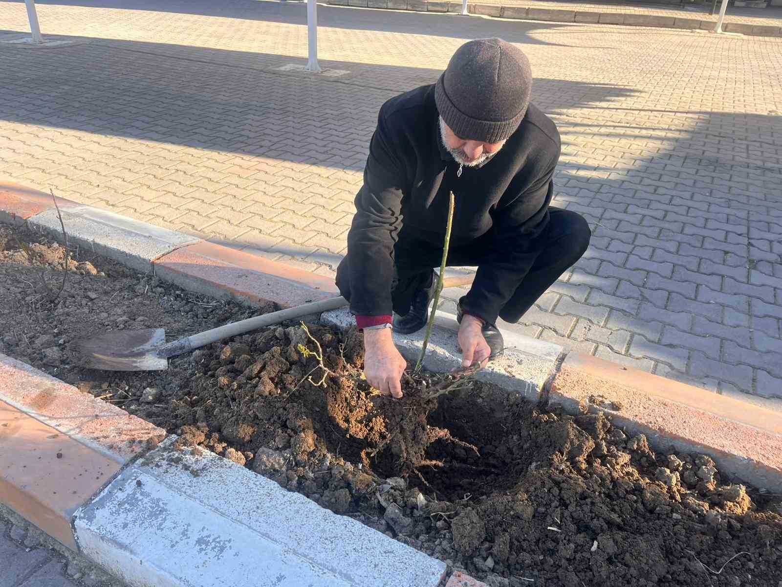 Gönüllü olarak cami önündeki çiçeklerin bakımını yapıyor
