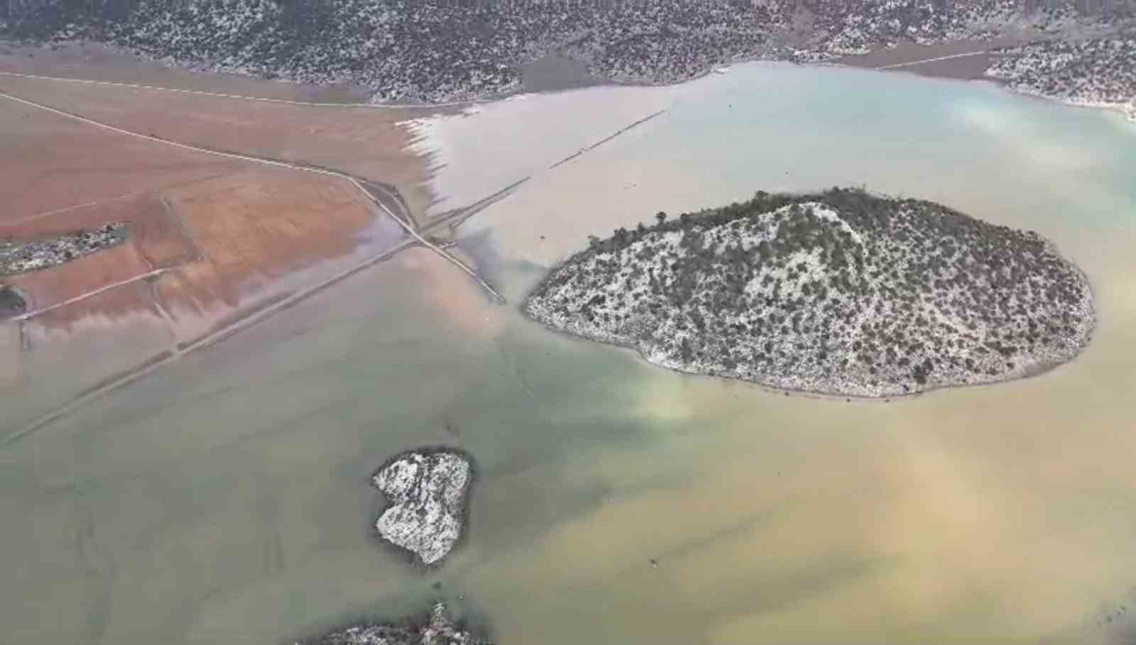 Gören "Meke" sandı, gerçek başka çıktı
Gören "Meke" sandı, gerçek başka çıktı