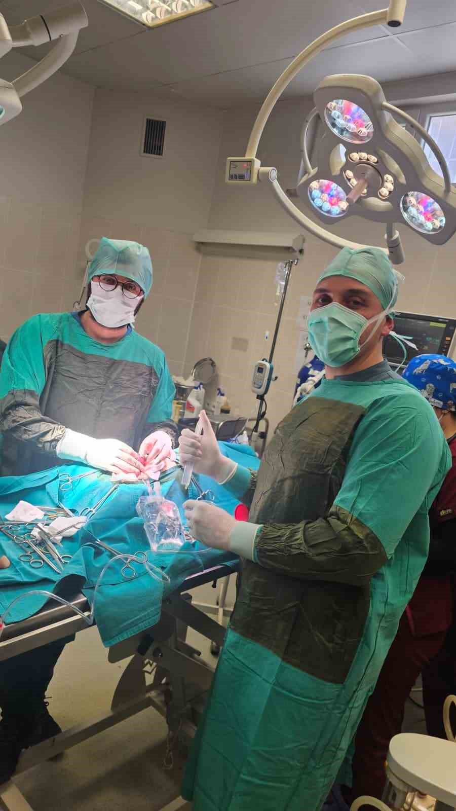 Görenler gözlerine inanamadı: Köpeğin karnından 140 taş çıktı
