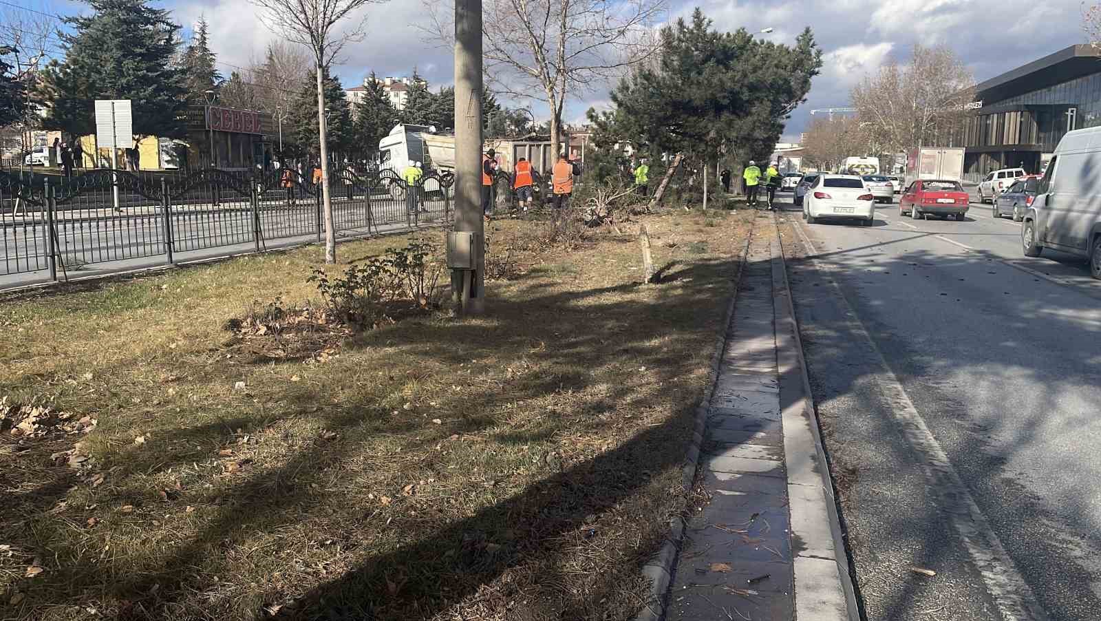 Görenleri pes dedirten kazada tır ağaçları ezip karşı şeritte durabildi
