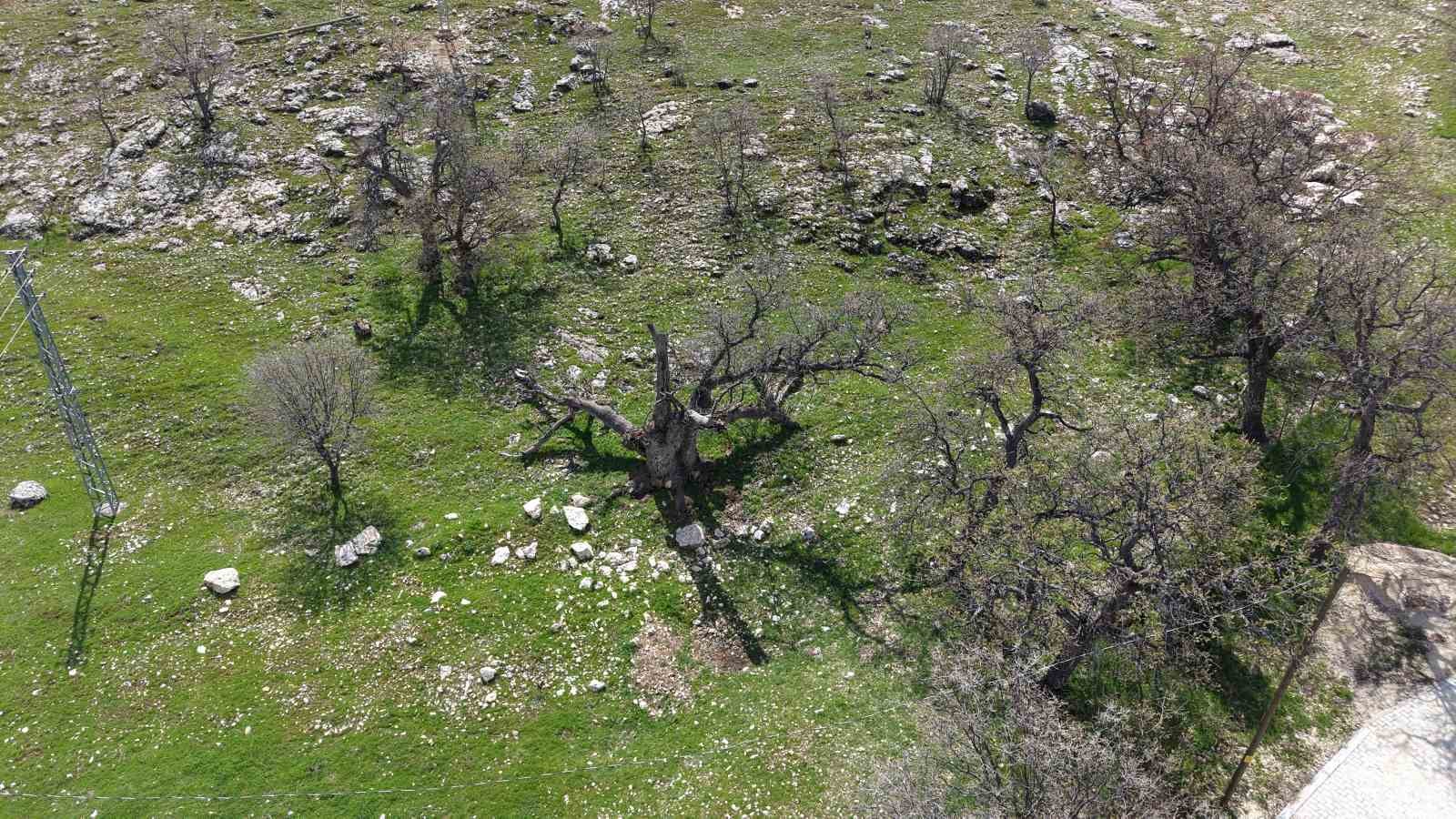 Gülistan Doku’nun ilk gömüldüğü iddiaya edilen yer havadan görüntülendi
