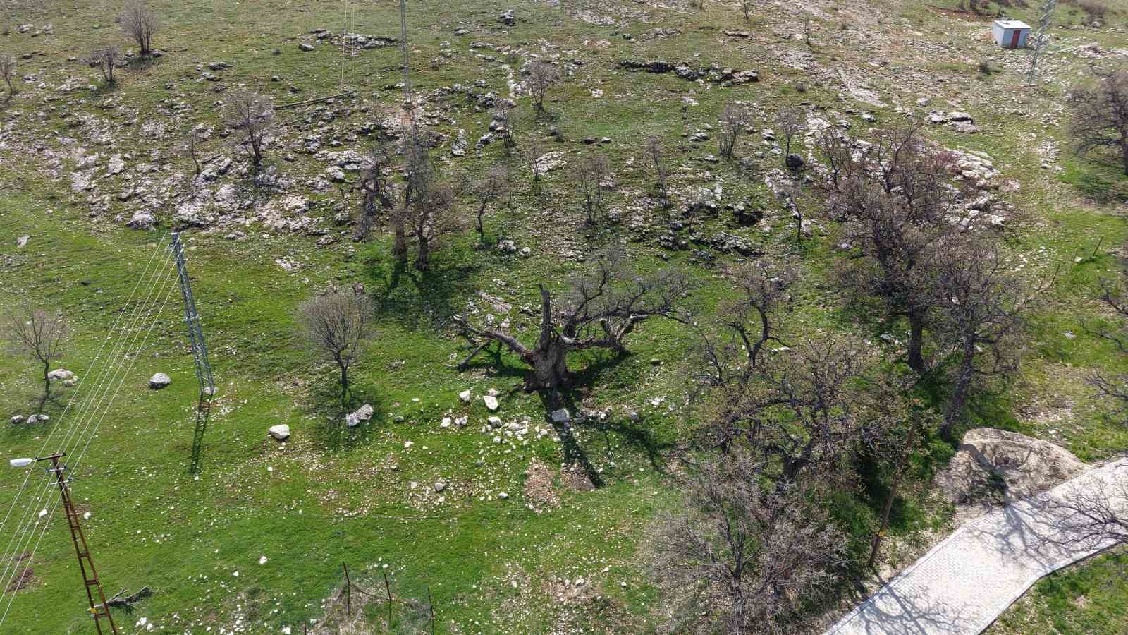 Gülistan Doku’nun ilk gömüldüğü iddiaya edilen yer havadan görüntülendi
