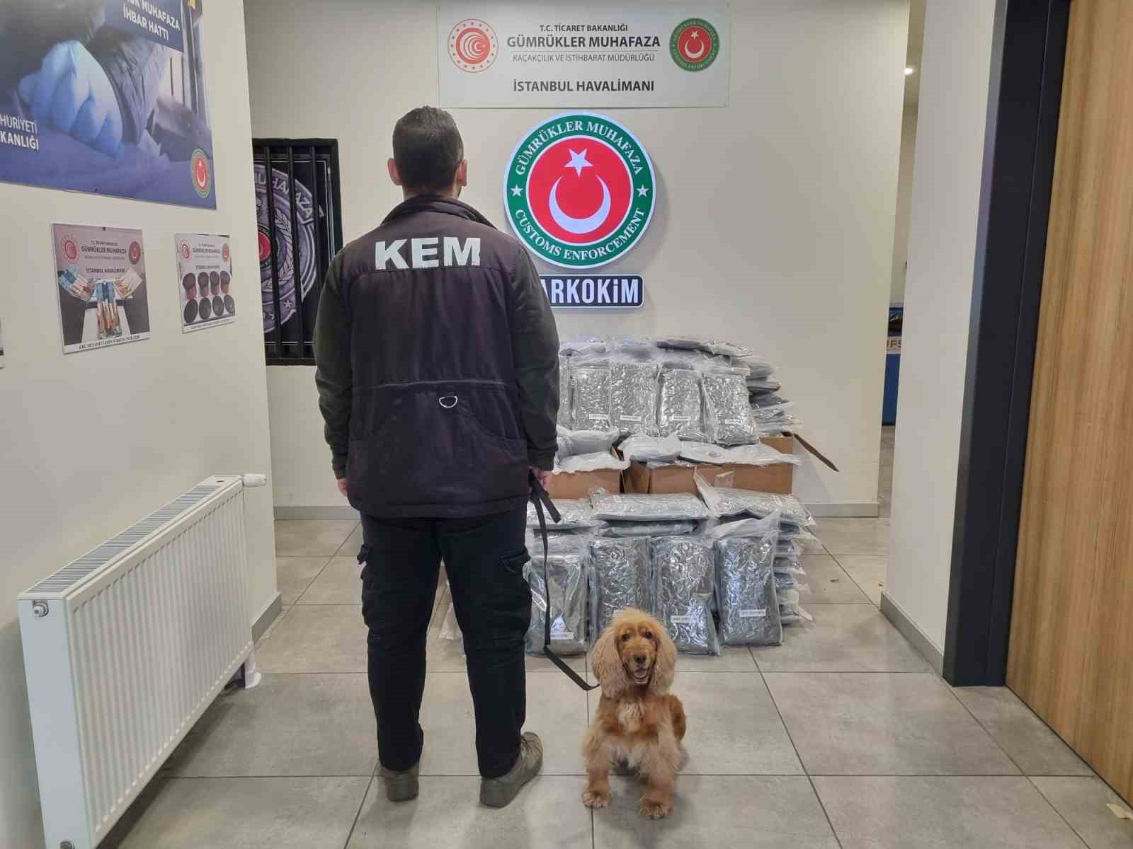 Gümrükler Muhafaza ekipleri piyasa değeri 378 milyon olan 420 kilo uyuşturucu madde yakaladı

