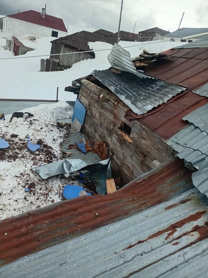 Gümüşhane yaylalarında ayı dehşeti devam ediyor
