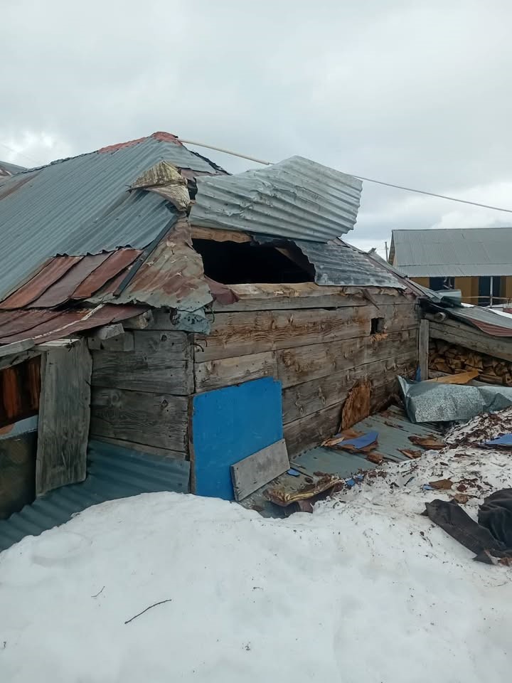 Gümüşhane yaylalarında ayı dehşeti devam ediyor
