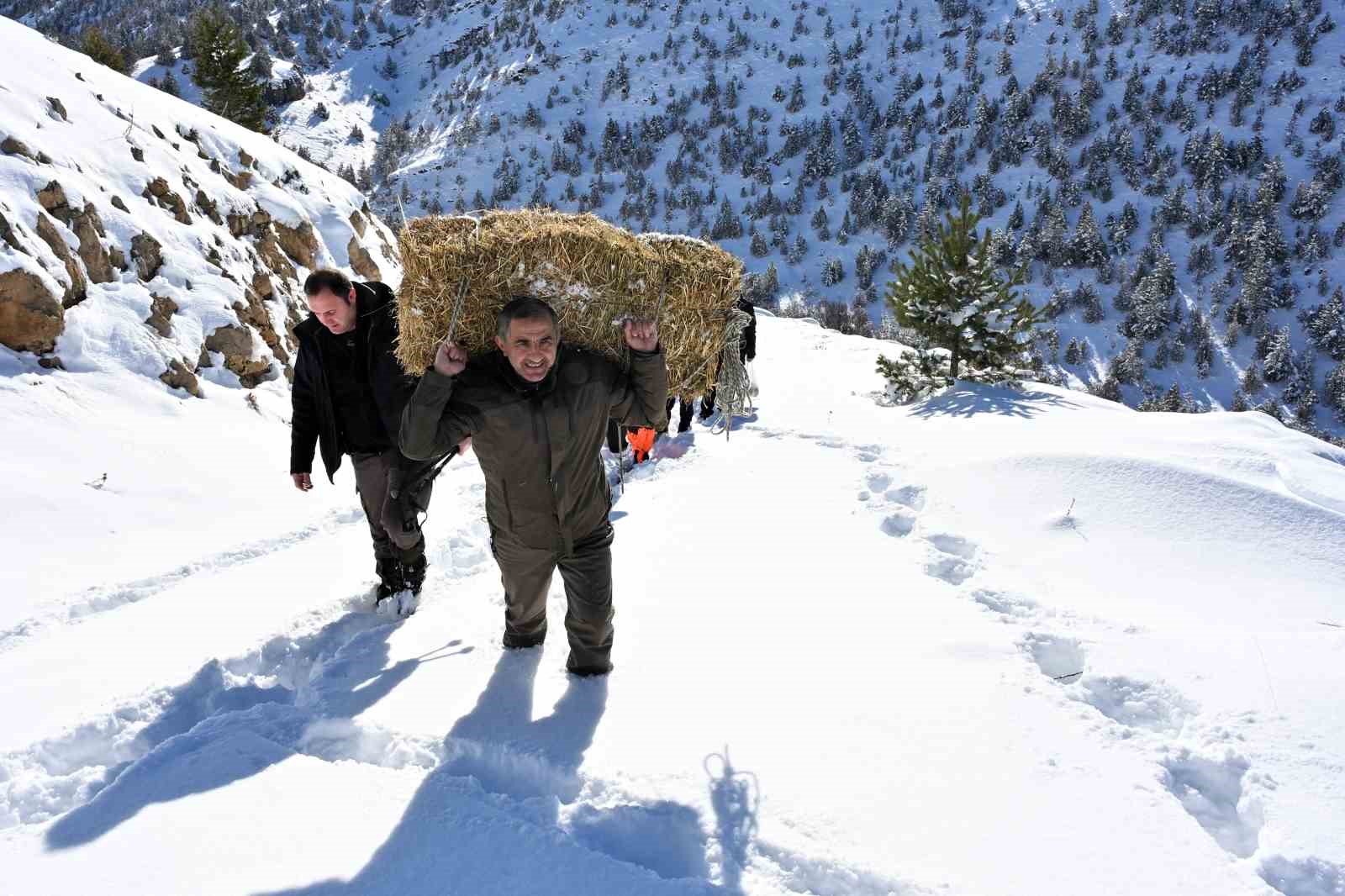 Gümüşhane’de aç kalan yaban hayvanları için seferberlik
Gümüşhane’de aç kalan yaban hayvanları için seferberlik