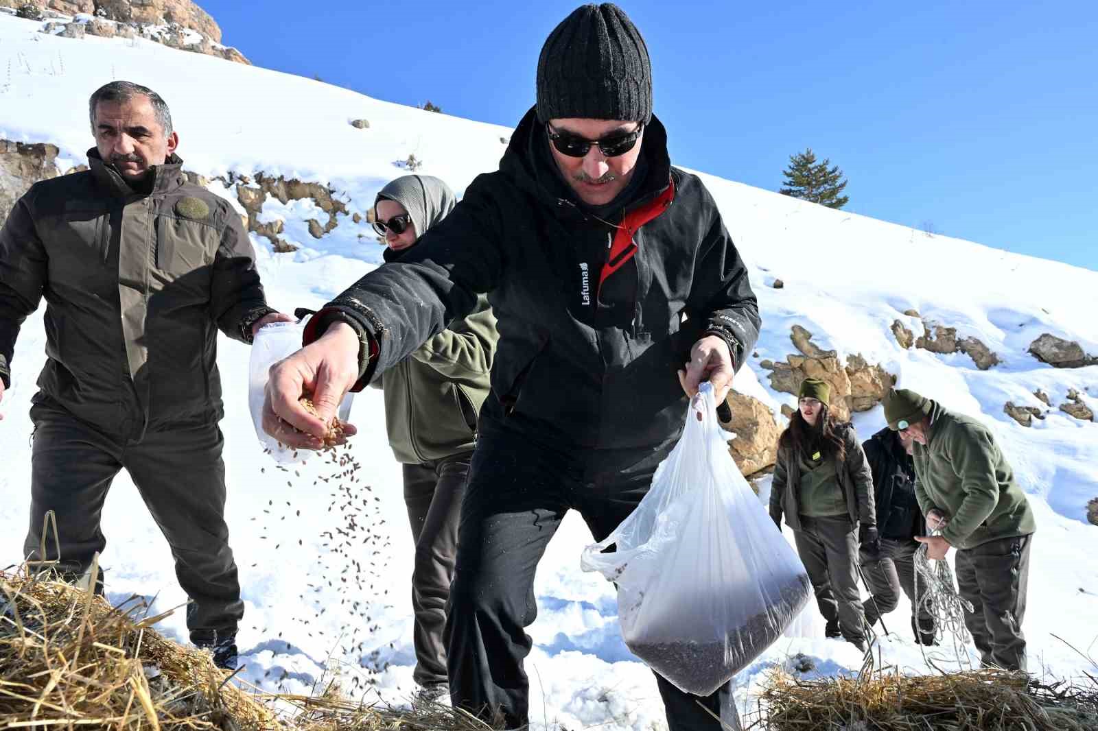 Gümüşhane’de aç kalan yaban hayvanları için seferberlik
Gümüşhane’de aç kalan yaban hayvanları için seferberlik
