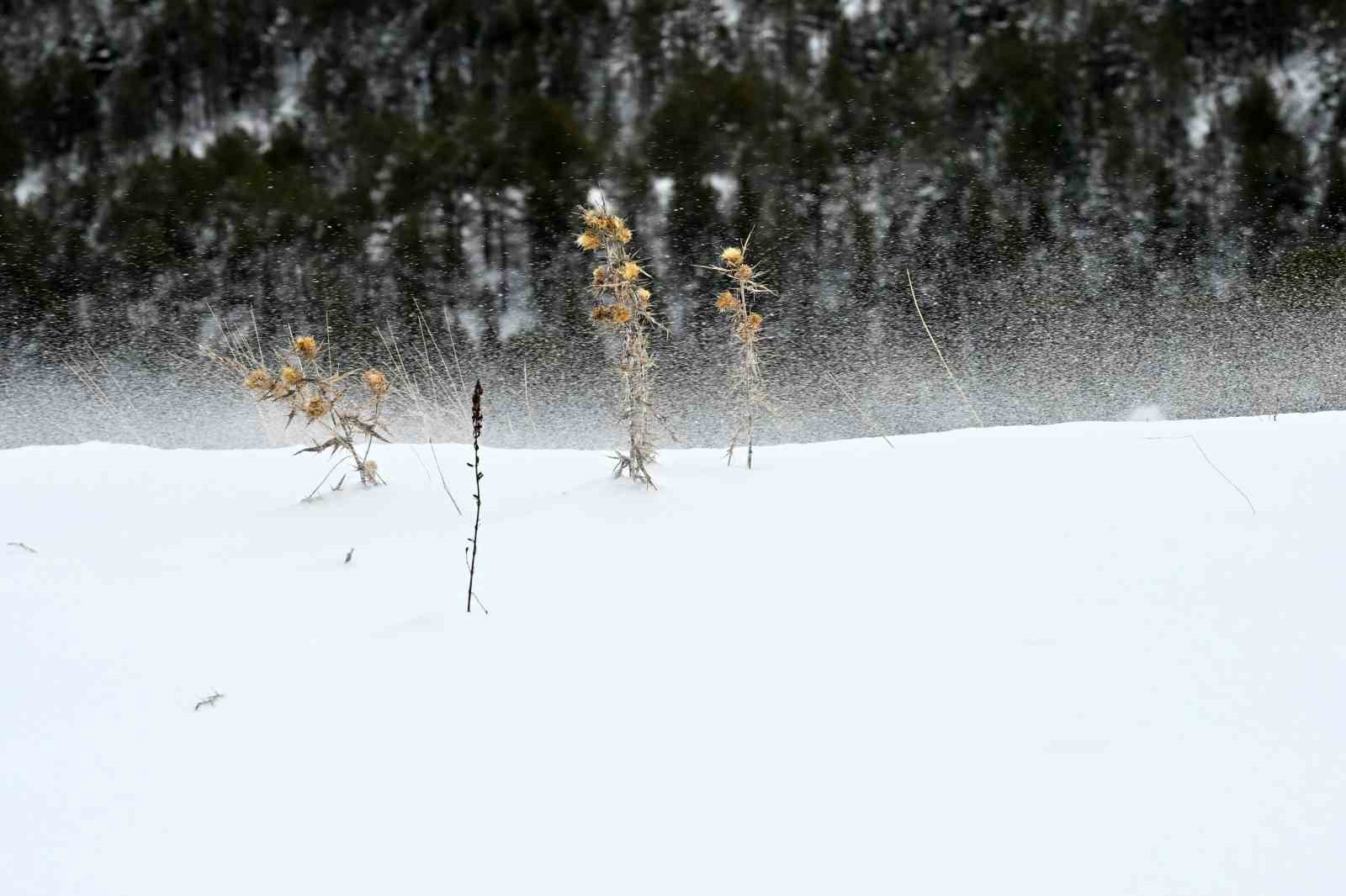 Gümüşhane’de beyaz yolculuk: Dağcılar kar üstünde buluştu
