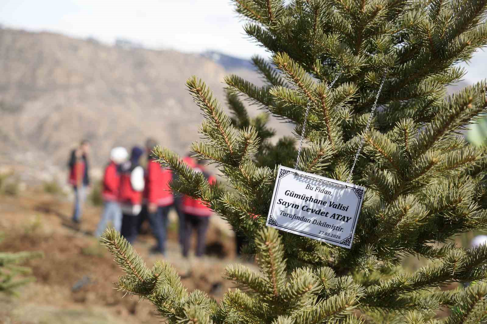 Gümüşhane’de fidanlar toprakla buluştu
