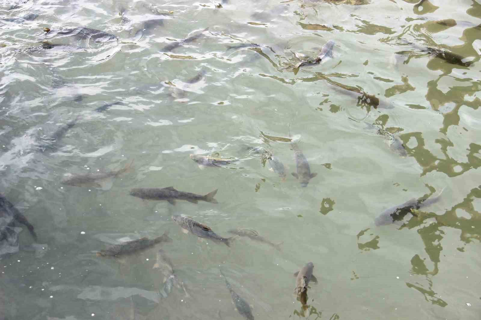 Güneş yüzünü gösterdi: Balıklıgöl’e ziyaretçi akını
