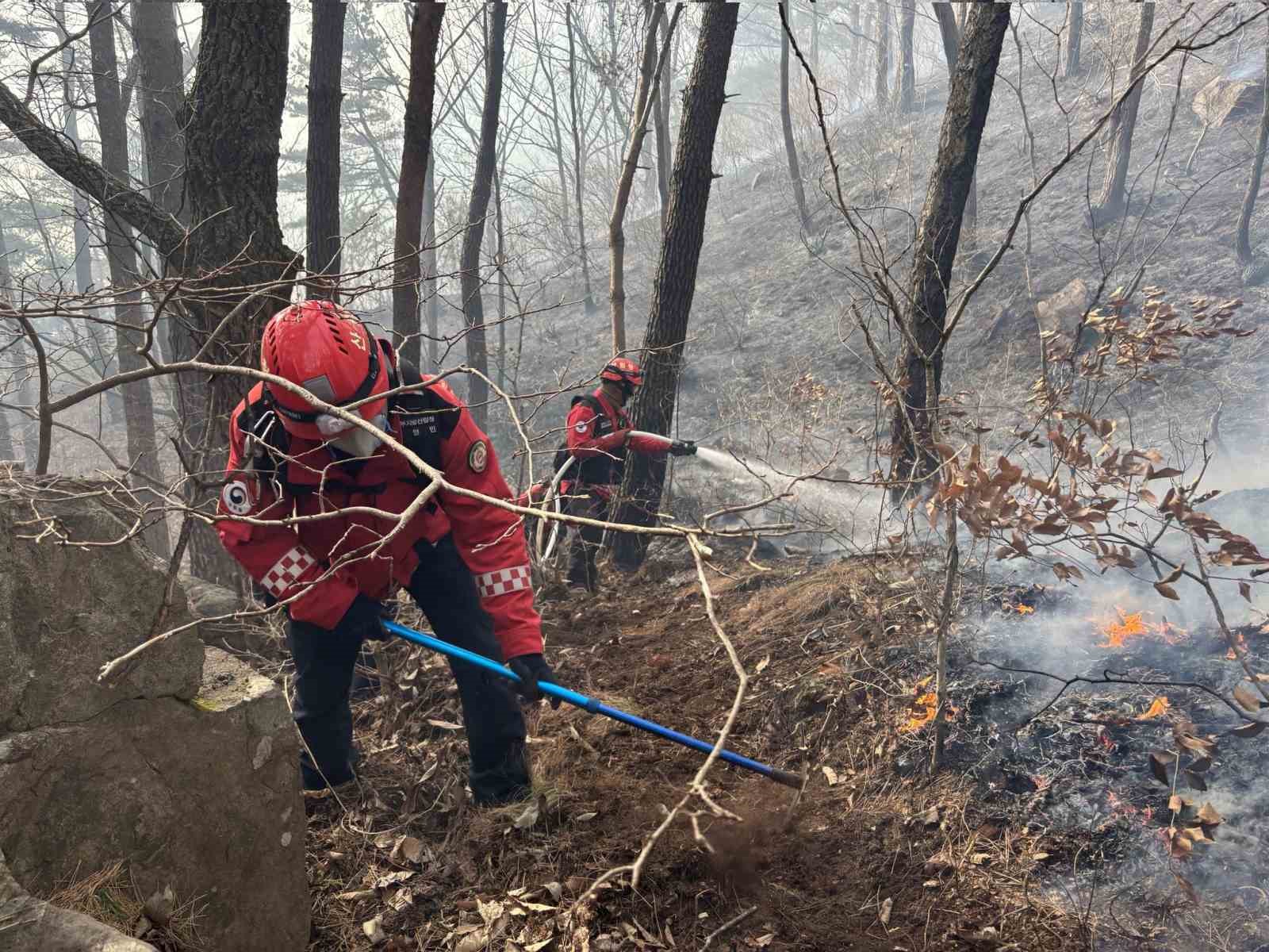 Güney Kore’de 3 gündür devam eden orman yangınında 190 hektarlık alan küle döndü
