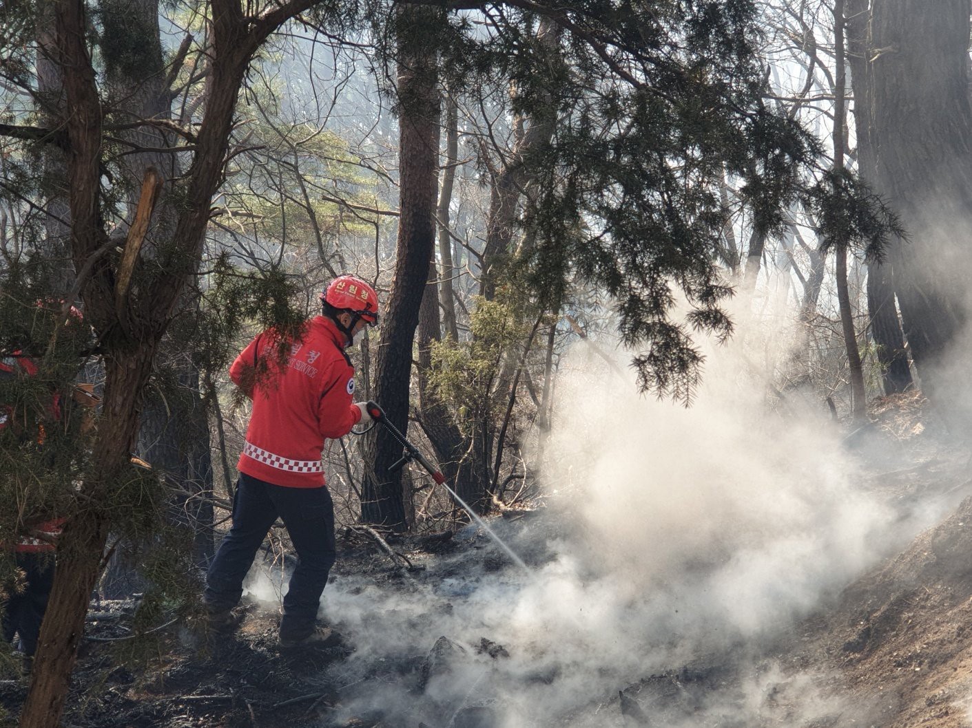 Güney Kore’de 3 gündür devam eden orman yangınında 190 hektarlık alan küle döndü
