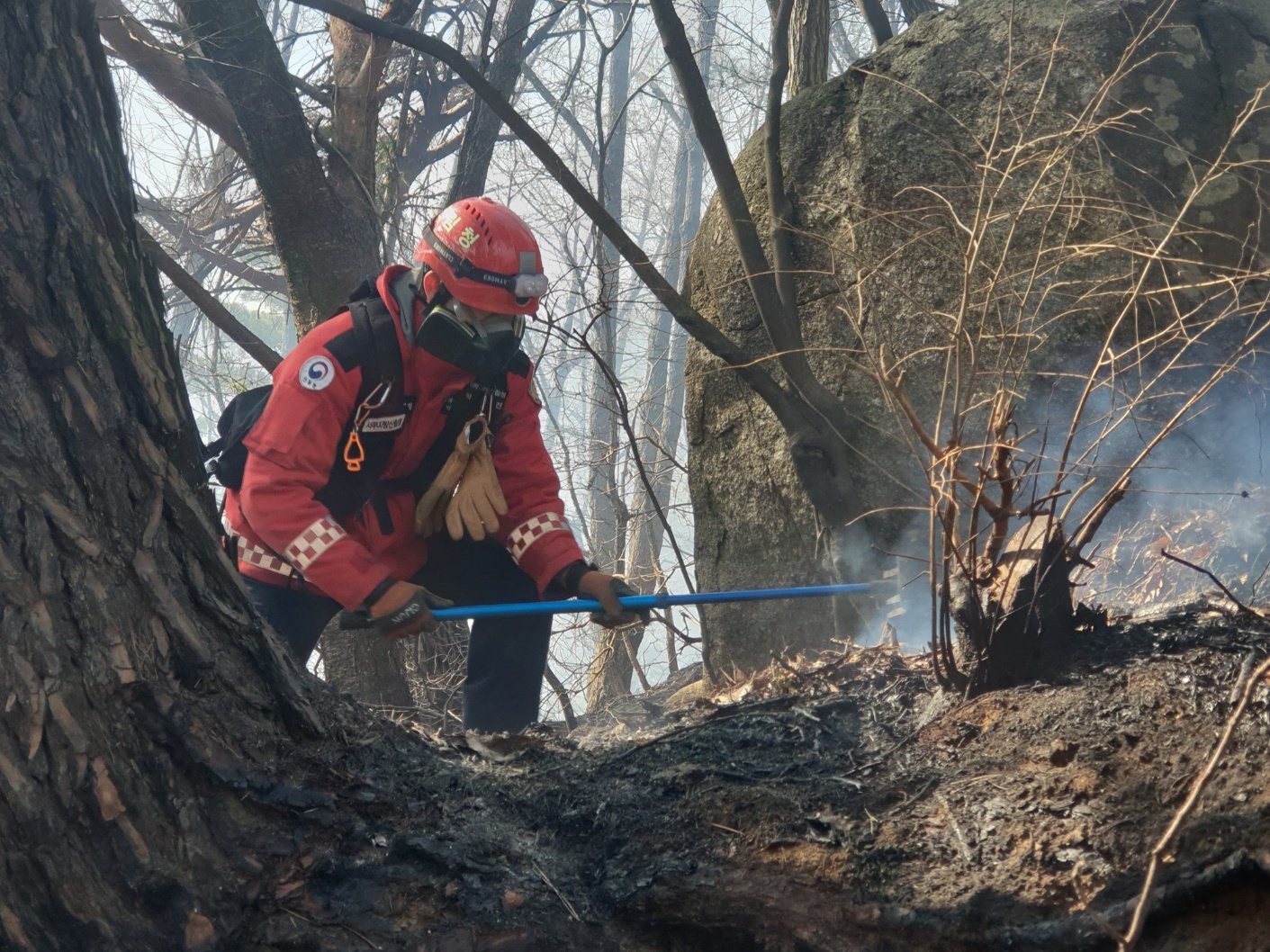 Güney Kore’de 3 gündür devam eden orman yangınında 190 hektarlık alan küle döndü
