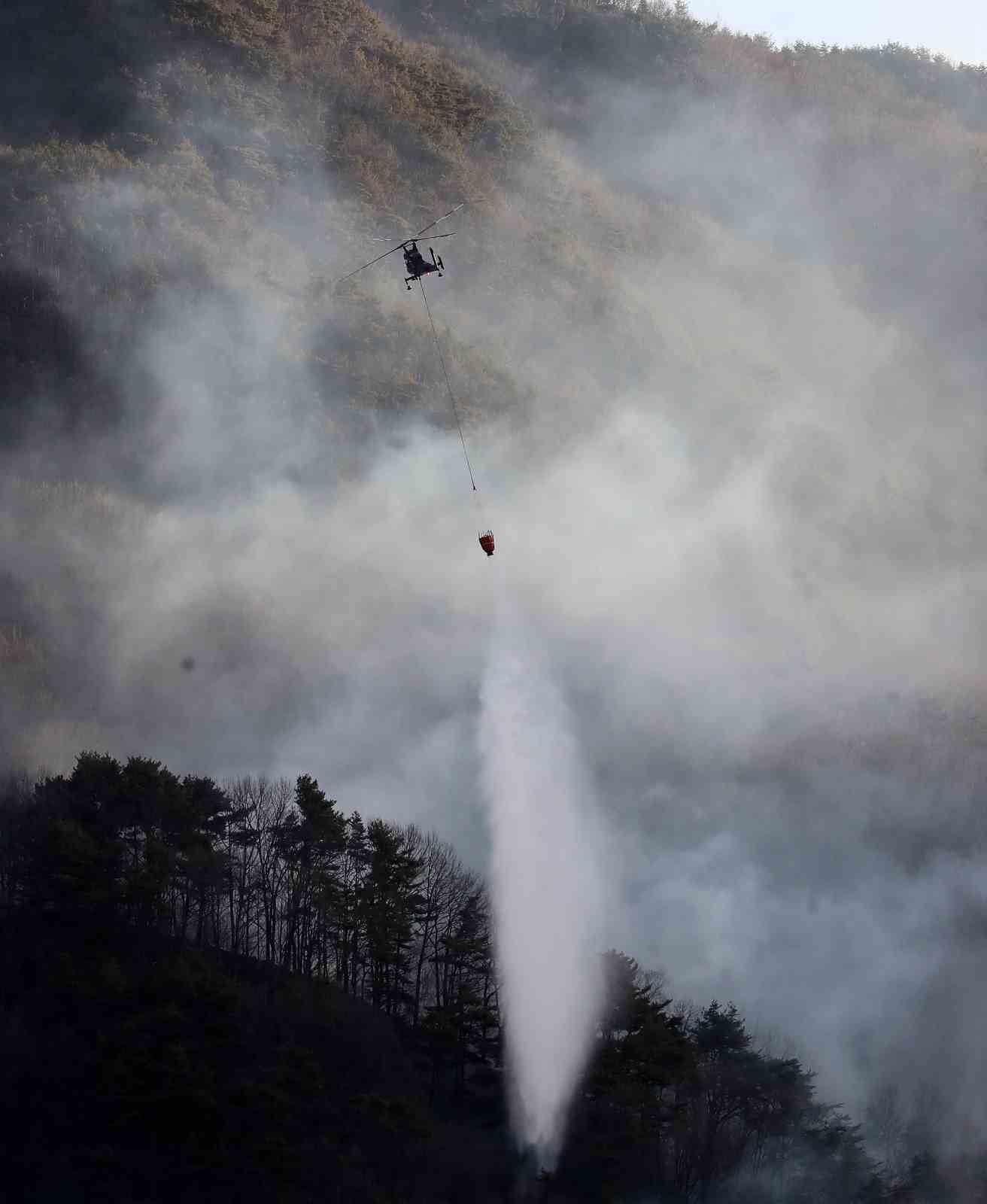 Güney Kore’de 3 gündür devam eden orman yangınında 190 hektarlık alan küle döndü
