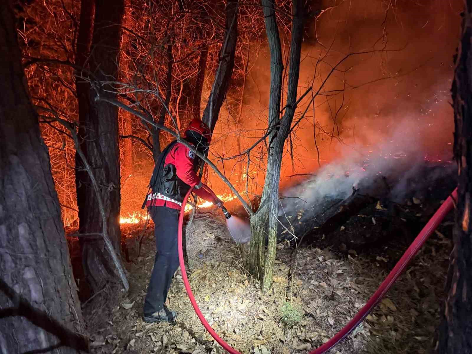 Güney Kore’de orman yangını: 200 futbol sahası büyüklüğünde alan küle döndü
