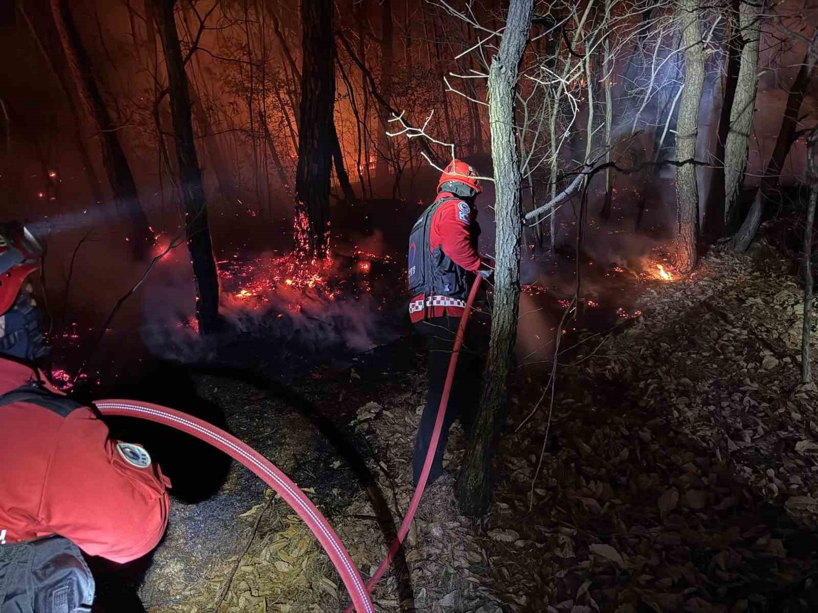 Güney Kore’de orman yangını: 200 futbol sahası büyüklüğünde alan küle döndü
