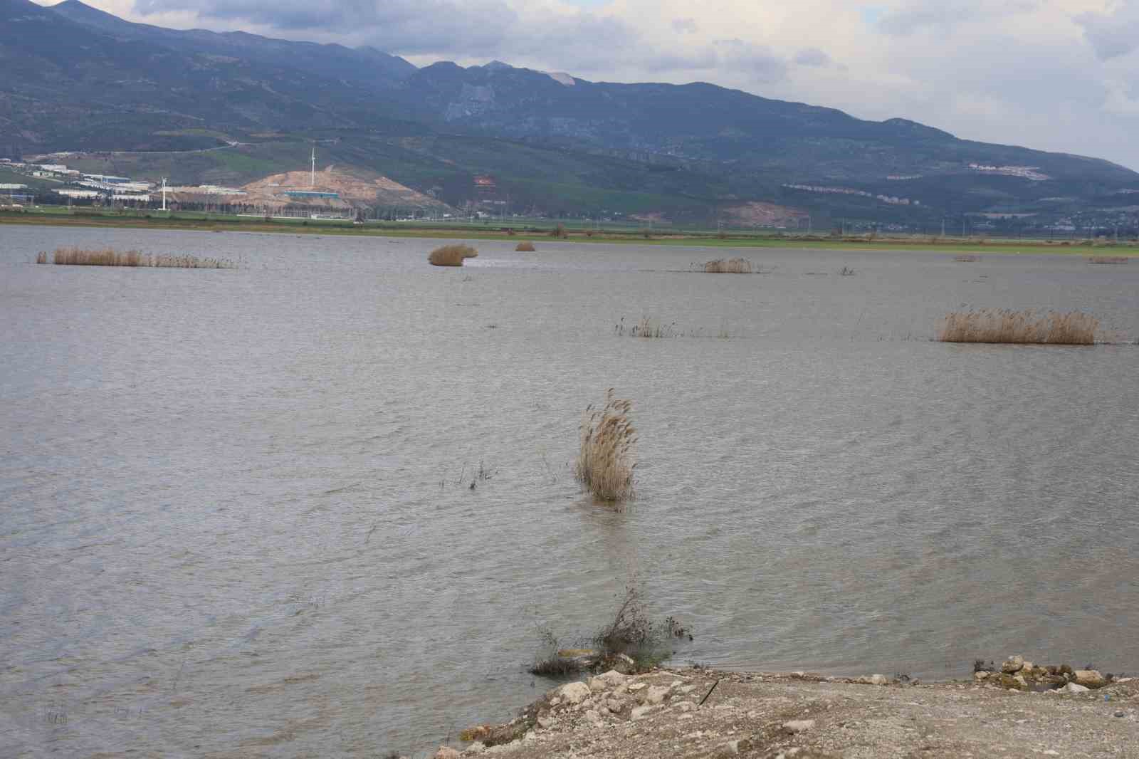 Günlerdir devam eden yağışlı havayla Amik Ovasında binlerce dönüm tarım arazisi sular altında kaldı
