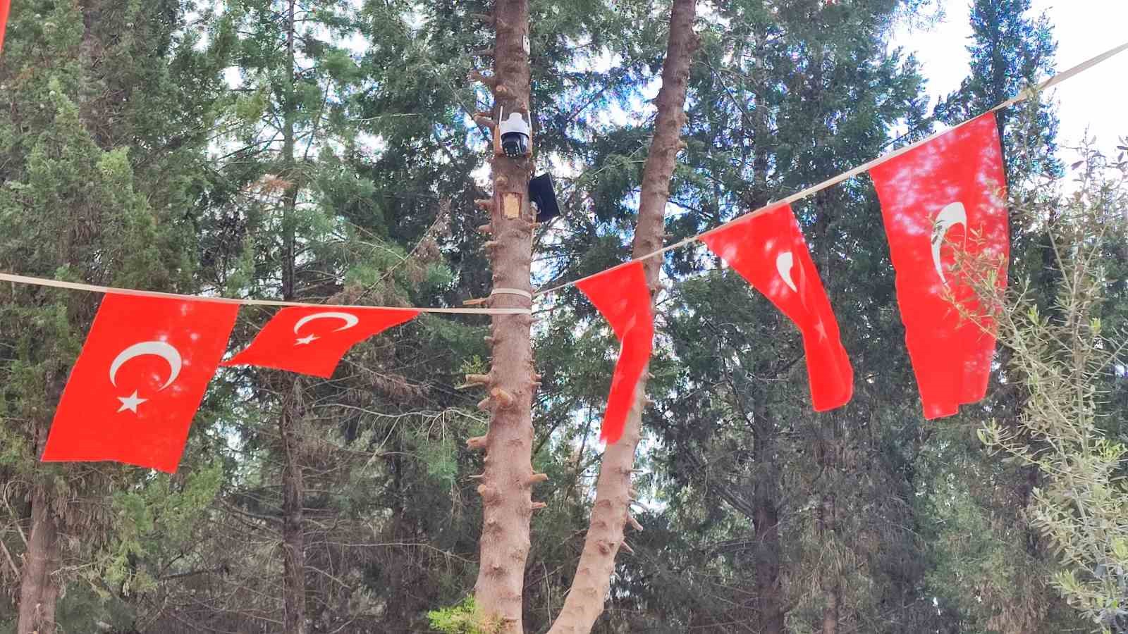 Güvenlik kameralı polis mezarından hırsızlık, anneyi gözyaşlarına boğdu
