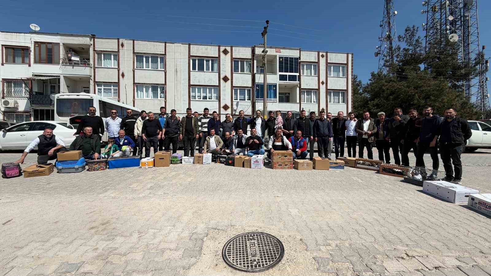 Güvercinin başkentinde gökyüzünde muhteşem şov
Güvercinin başkentinde gökyüzünde muhteşem şov