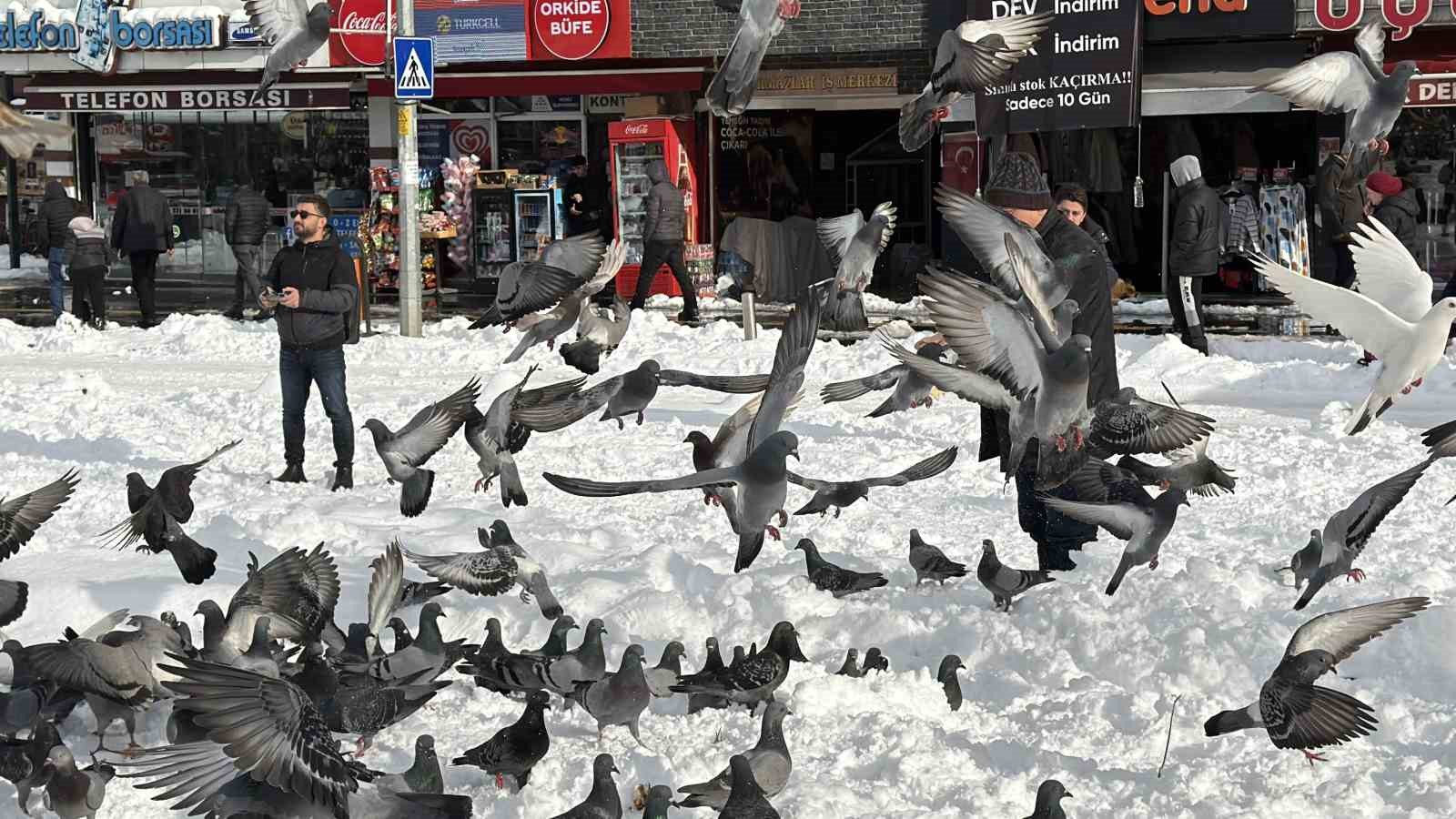 Güvercinleri yemleyen vatandaş yürekleri ısıttı
